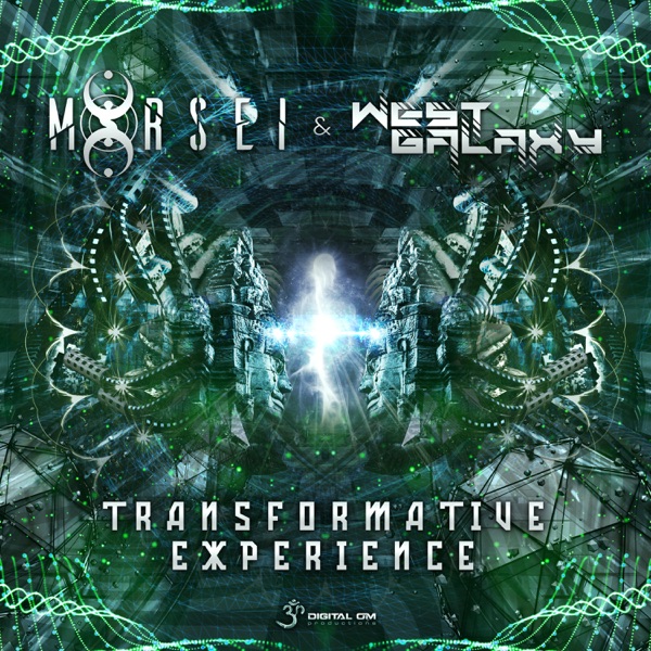 Transformative Experience - Single