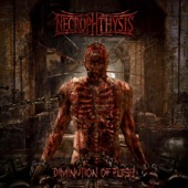 Diminution of Flesh