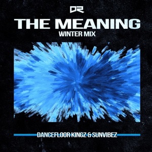The Meaning (Winter Mix) - Single
