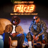 Fire (feat. Felo Le Tee & Mellow and Sleazy) artwork