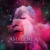 Amygdala Healing Session: Practicing Stress Reduction Techniques such as Meditation, Deep Breathing and Exercising