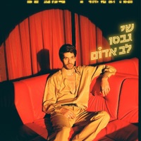 לב אדום - Single - Shay Gabso