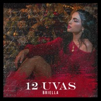 12 Uvas - Single - Briella