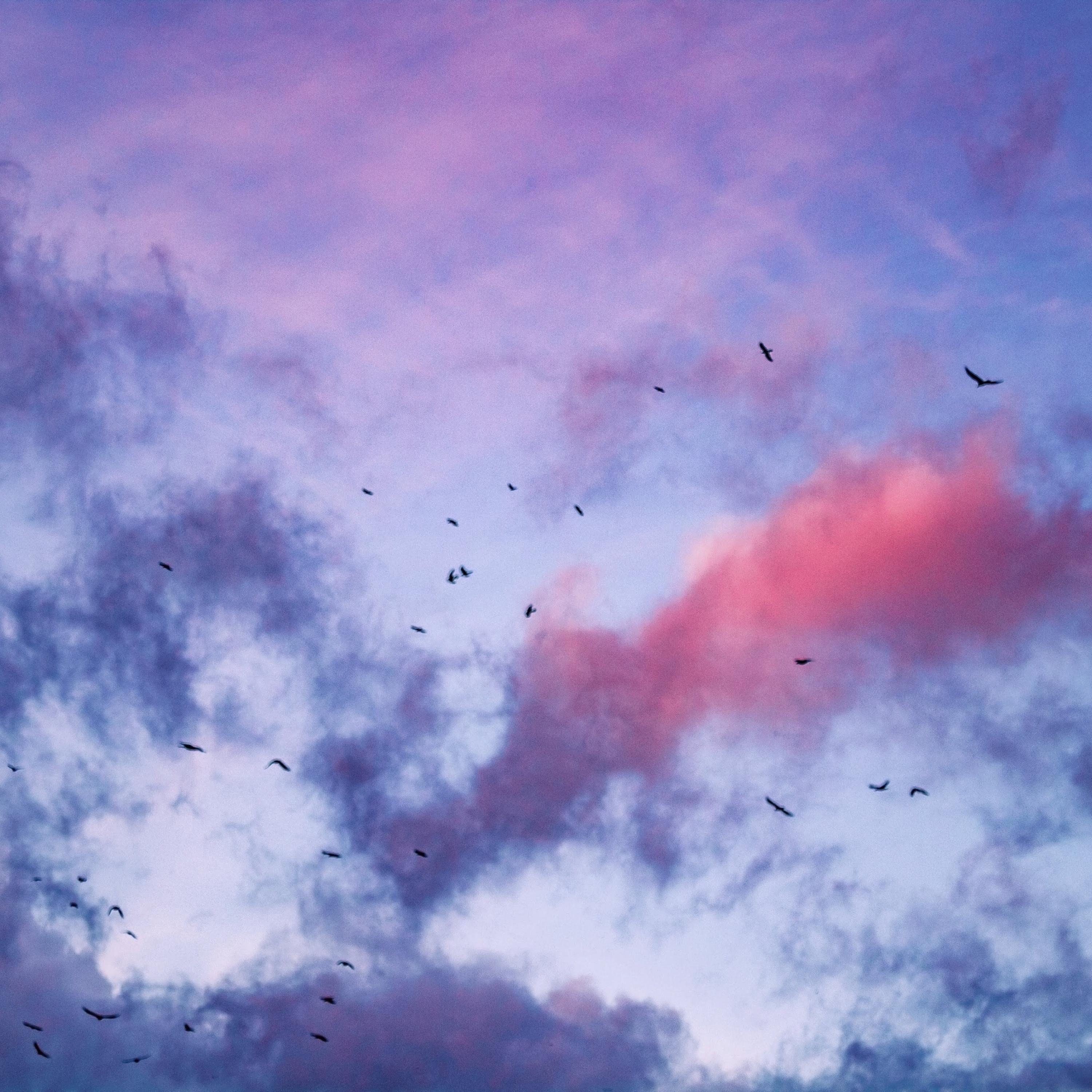 Disintegration - Single