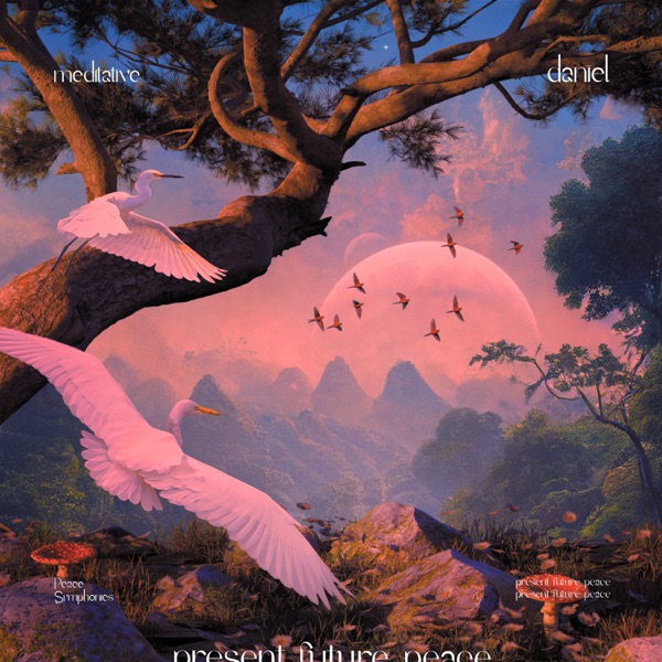 Meditative - Single