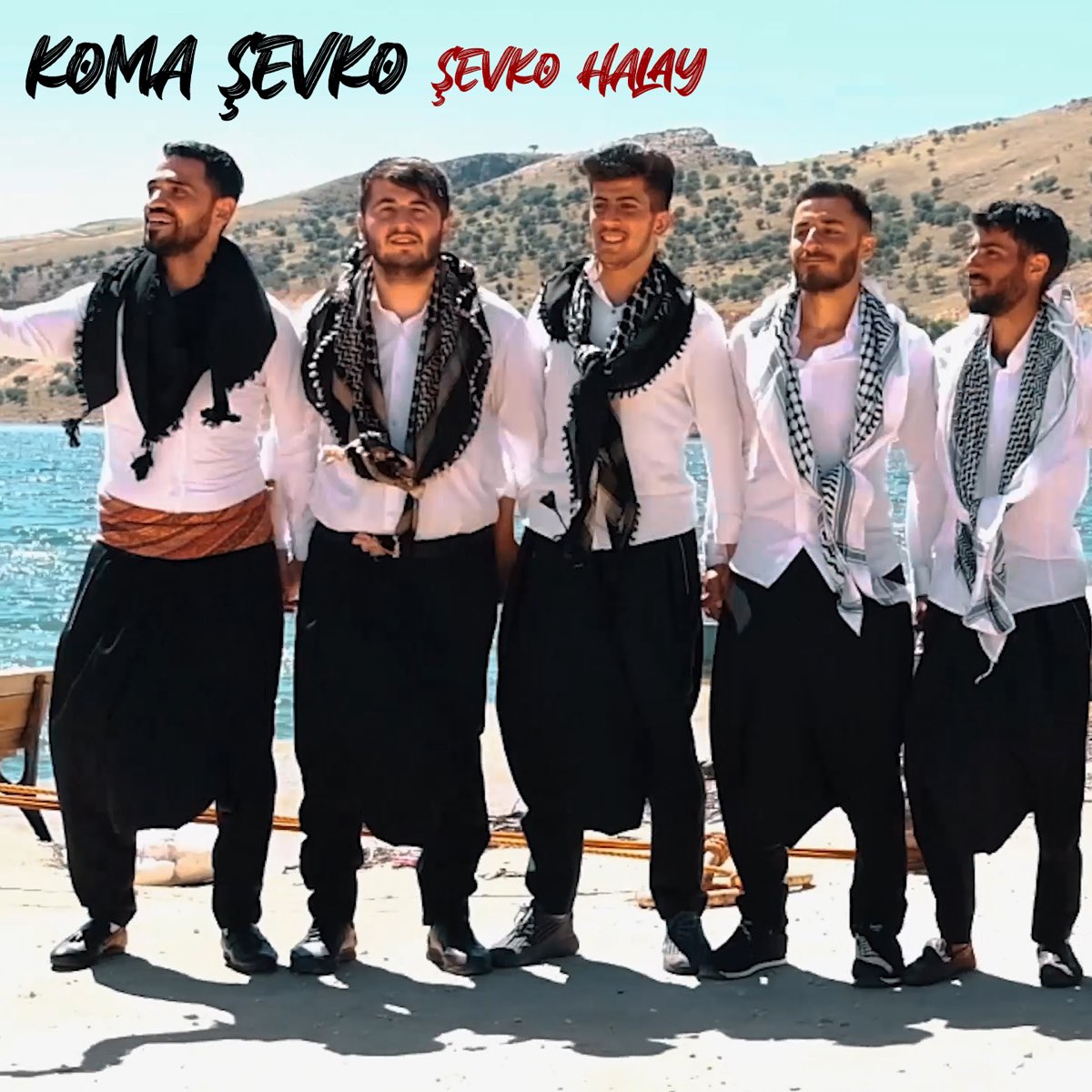 Şevko Halay - Single - Album by Koma Şevko - Apple Music