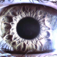 Dilemma - Single - Morri