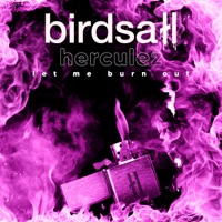 Let Me Burn Out - Single - Birdsall & Herculez