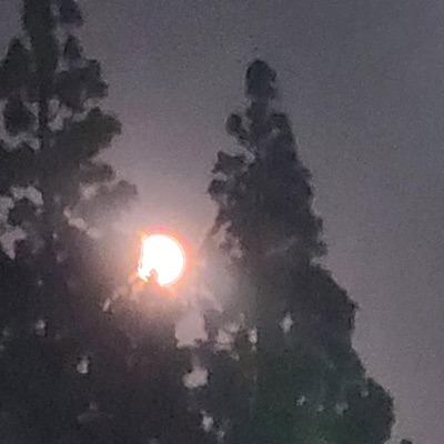 to those who loved, for I haved ruined it - EP