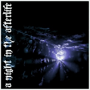 A Night in the Afterlife (feat. Kamiyada+)