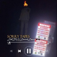 Lost Luv Learned Lessons(Incomplete) - Single - LuVVon