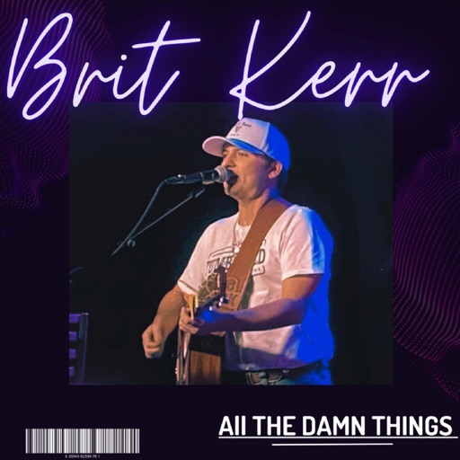 Art for All the Damn Things by Brit Kerr