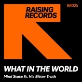 What in the World (feat. His Bitter Truth) [True2life Vocal Mix] artwork