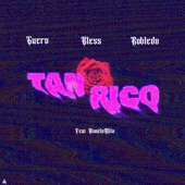 TAN RICO (feat. Dímelo Milo) artwork