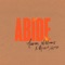 Abide (Radio Version) artwork