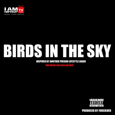 BIRDS IN THE SKY (FALSE STORY) - Single