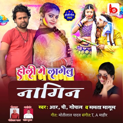 Holi Mein Lagelu Nagin - Single