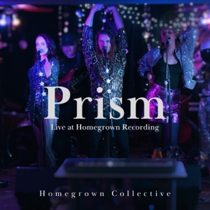 Prism (feat. Carl Biehn, Danny Pravder, Manoela Wunder, Mina Bloom, Marc Dolgin & Jason Masoud) [Live at Homegrown Recording]