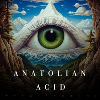 Anatolian Acid (feat. Cafer Nazlıbaş) - Single - Ayaz Aydoğdu