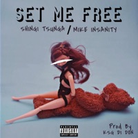 Set Me Free (feat. Shingi Tsunga) - Single - Mike Insanity