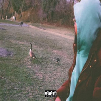 Goosing - Single