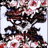 Zoom - Single - Advent Z