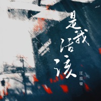 是我活該 (0.8降速版) - Single - Yingjun Wang