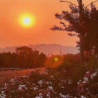 Wiatr - Single - Kl1ki