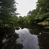 ill Show You - Single - 2napps