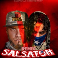 Salsaton (feat. Mr Gyabel) [Remix] - Single - Rady el Animal Feroz