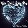 You Don't Love Me - Single