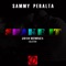 Shake It 2010 (Jesse Garcia Mix) - Sammy Peralta lyrics