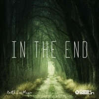 In the End - Single - Dash Berlin