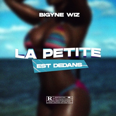 La petite est dedans - Single