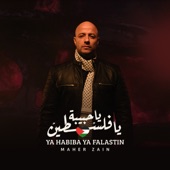 Ya Habiba Ya Falastin (Beloved Palestine) artwork