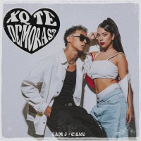 xq te demoras? - Single - Canu & Sam J