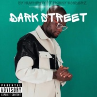 DARK STREET(instrumental) (feat. Skinny wonderz) - Single - SY Humphrey