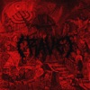 RAVE cover art