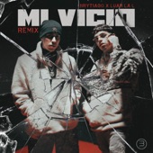 Mi Vicio (Remix) artwork