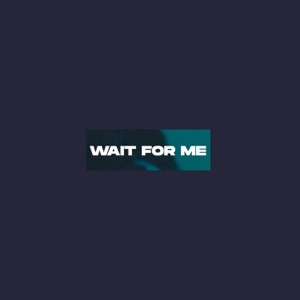 wait for me (feat. Ronald Vue)