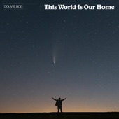 This World Is Our Home artwork