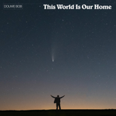This World Is Our Home - Douwe Bob Cover Art