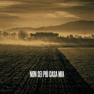 Non sei più casa mia - Materia Grigia