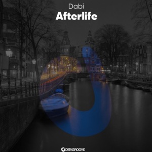 Afterlife - Single