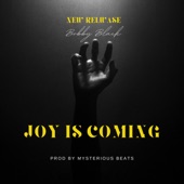 Joy Is Coming artwork