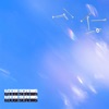 Loose Screws - Single