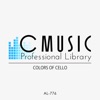 C MUSIC Professional Library