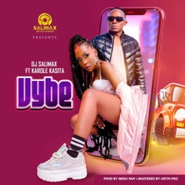 Vybe (feat. Karole Kasita) Dj Salimax