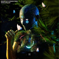 World Hold On - Single - Sergen Tekin & Burak Cilt