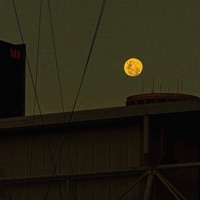 Raat Baki Hai - Single - Umar.